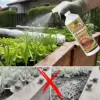 ByeSnail™ naraven odganjalec polžev in lazarjev (500 ml)