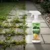 WeedX™ – 100 % naravni zaviralec rasti plevela
