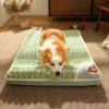 Pasja postelja z vzglavnikom SoftPaw