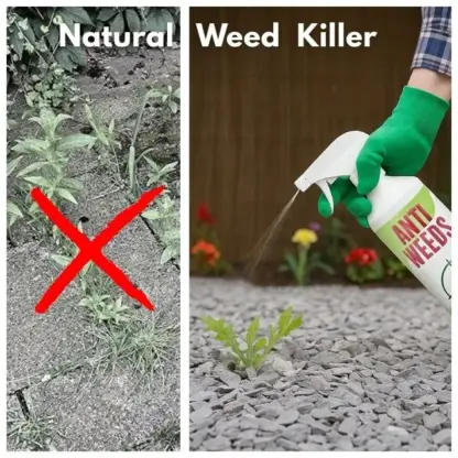 AntiWeeds – 100 % naravni zaviralec rasti plevela