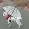 PawBrella™ nastavljiv dežnik s povodcem za pse