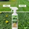 WeedX™ – 100 % naravni zaviralec rasti plevela