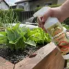 ByeSnail™ naraven odganjalec polžev in lazarjev (500 ml)