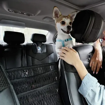 CargoNet™ prilagodljiva mreža za organizacijo v vozilu