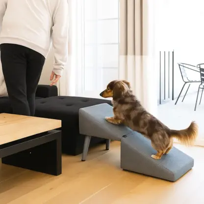 PawStep™ 2 v 1 tabure in pasja rampa