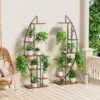 Moonflower™ Stojalo za rastline v obliki polmeseca z osvetlitvijo
