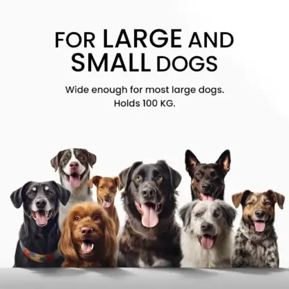 PawStep™ 2 v 1 tabure in pasja rampa-middle